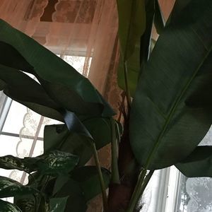 Meet your Posher, Mariama